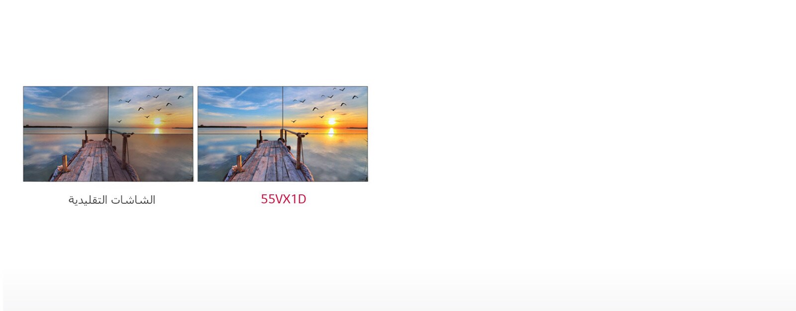 توازن منسجم للون الأبيض1