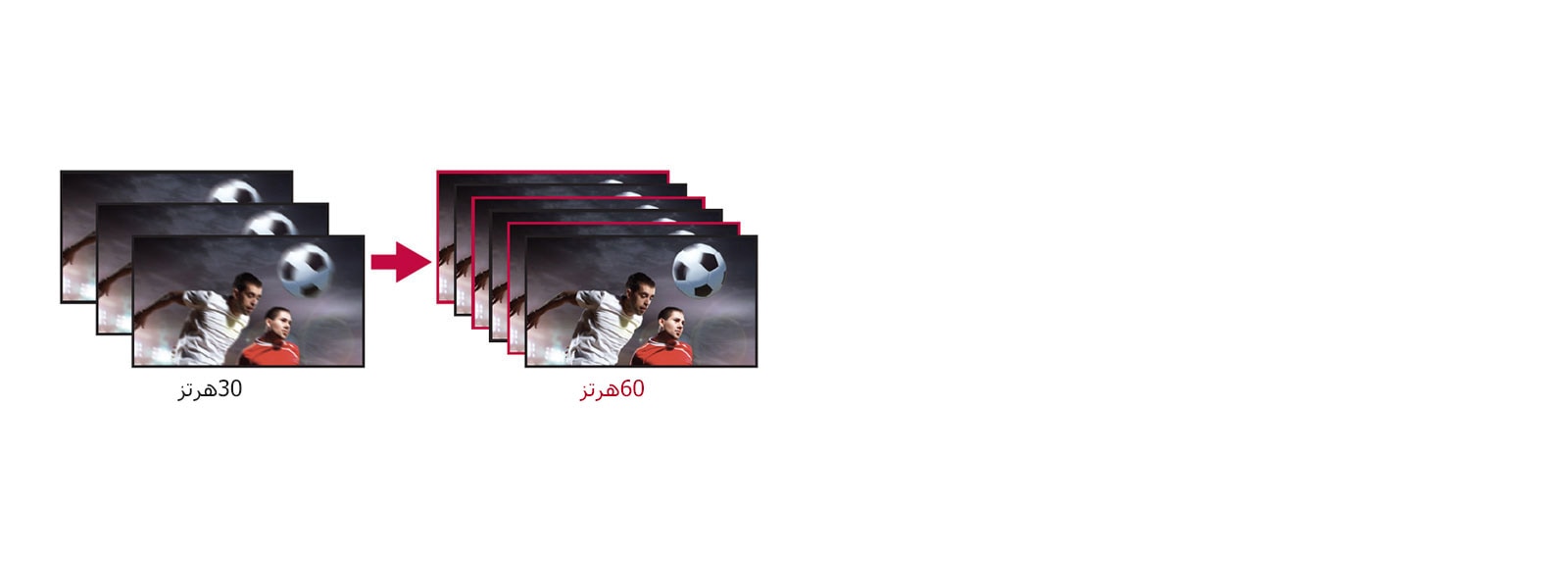 عرض الصور المفعمة بالحيوية1