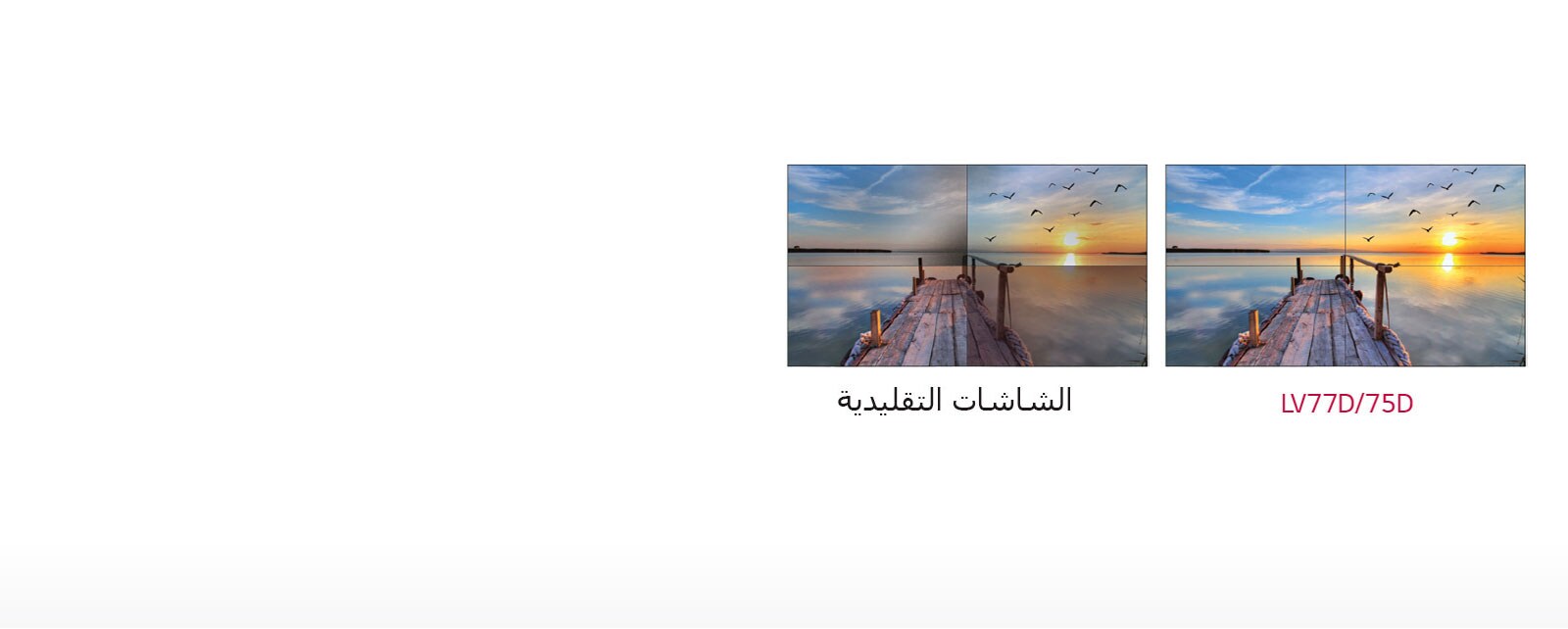 توازن منسجم للون الأبيض1