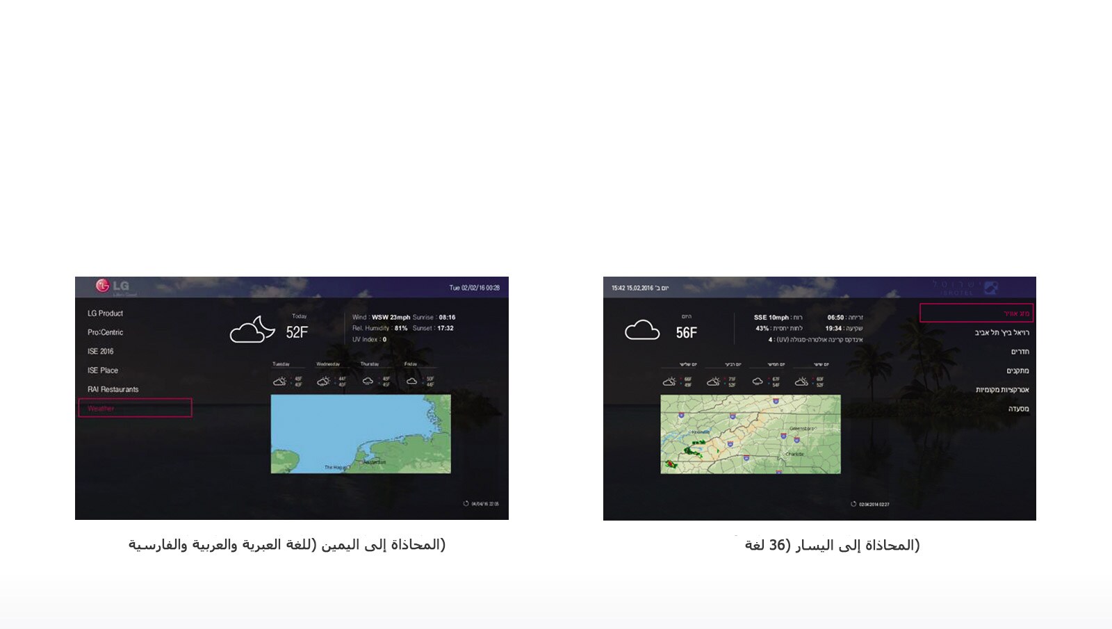 متعدد اللغات<br>1