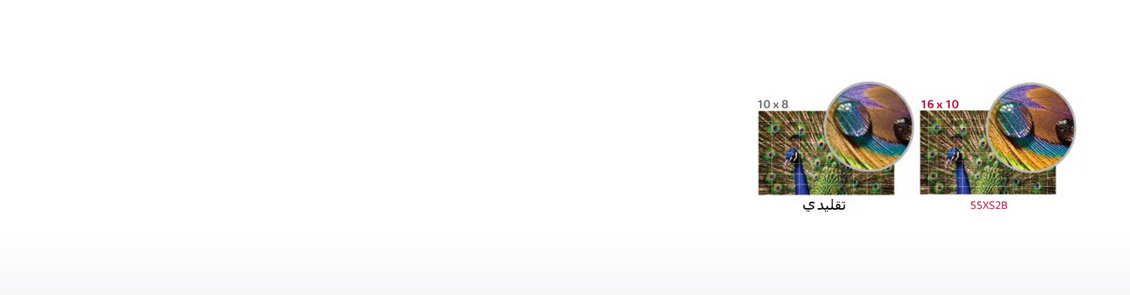 تعتيم موضعي متقدم1