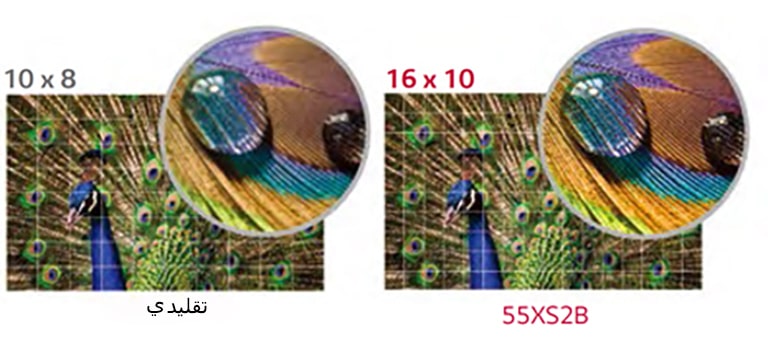 تعتيم موضعي متقدم2