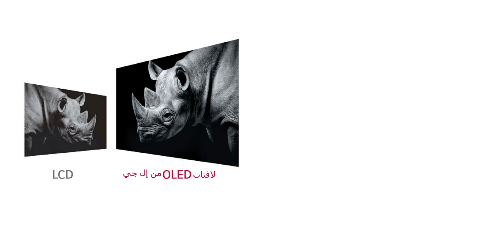 لون أسود مثالي1