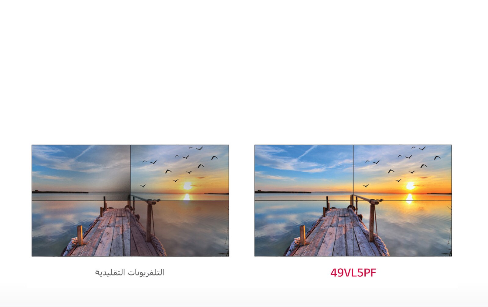 توازن منسجم للون الأبيض1