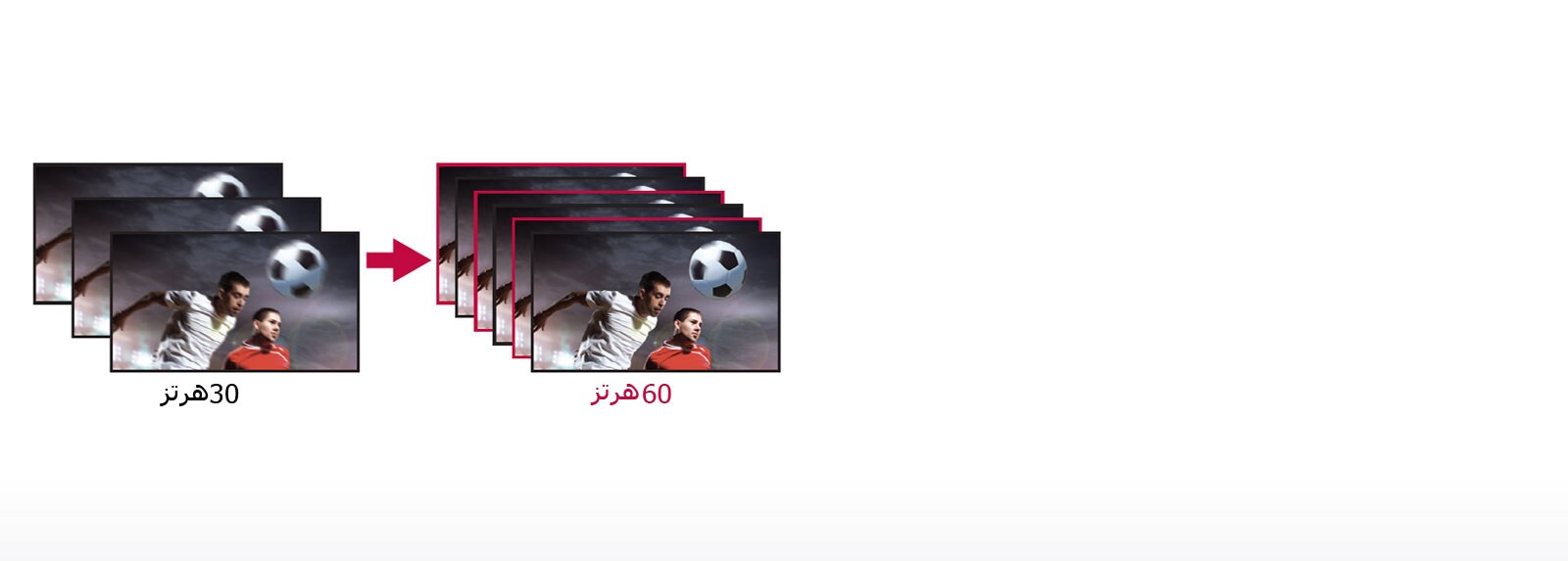 عرض الصور المفعمة بالحيوية1