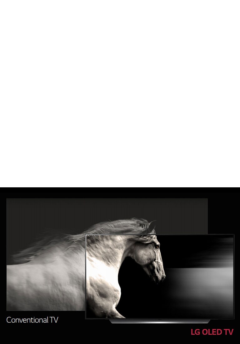 لون أسود مثالي. ألوان قوية<br>2