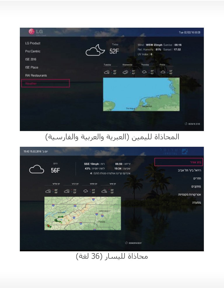 لغات متعددة2