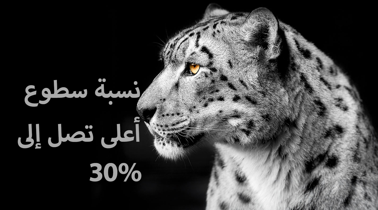نمر أبيض يظهر من الجانب على الناحية اليسرى من الصورة. تظهر كلمات “Up to 30% brighter” (أكثر سطوعًا بنسبة تصل إلى 30%) على اليسار.