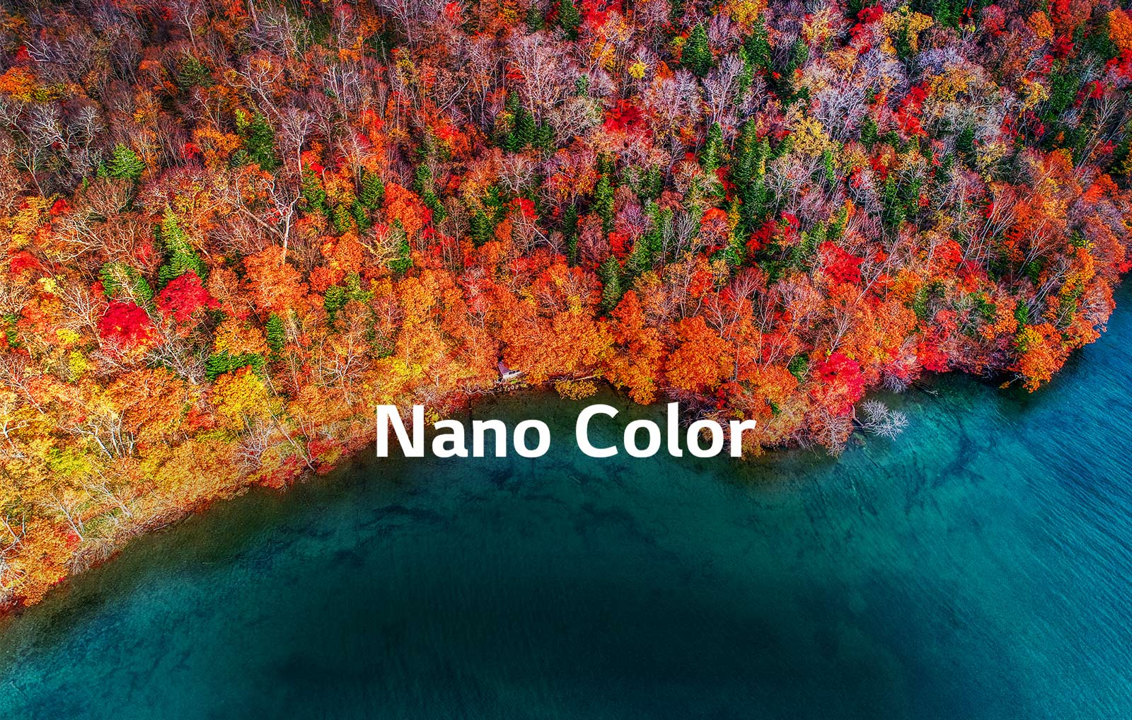 TV-NanoCell-SM81-02-Nano-Color-Desktop_V1