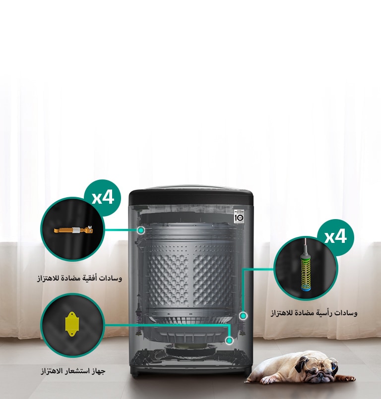 يعرض الملحقات التي تحد من الضوضاء في أثناء الغسيل. جرو ينام بجانب الغسالة.