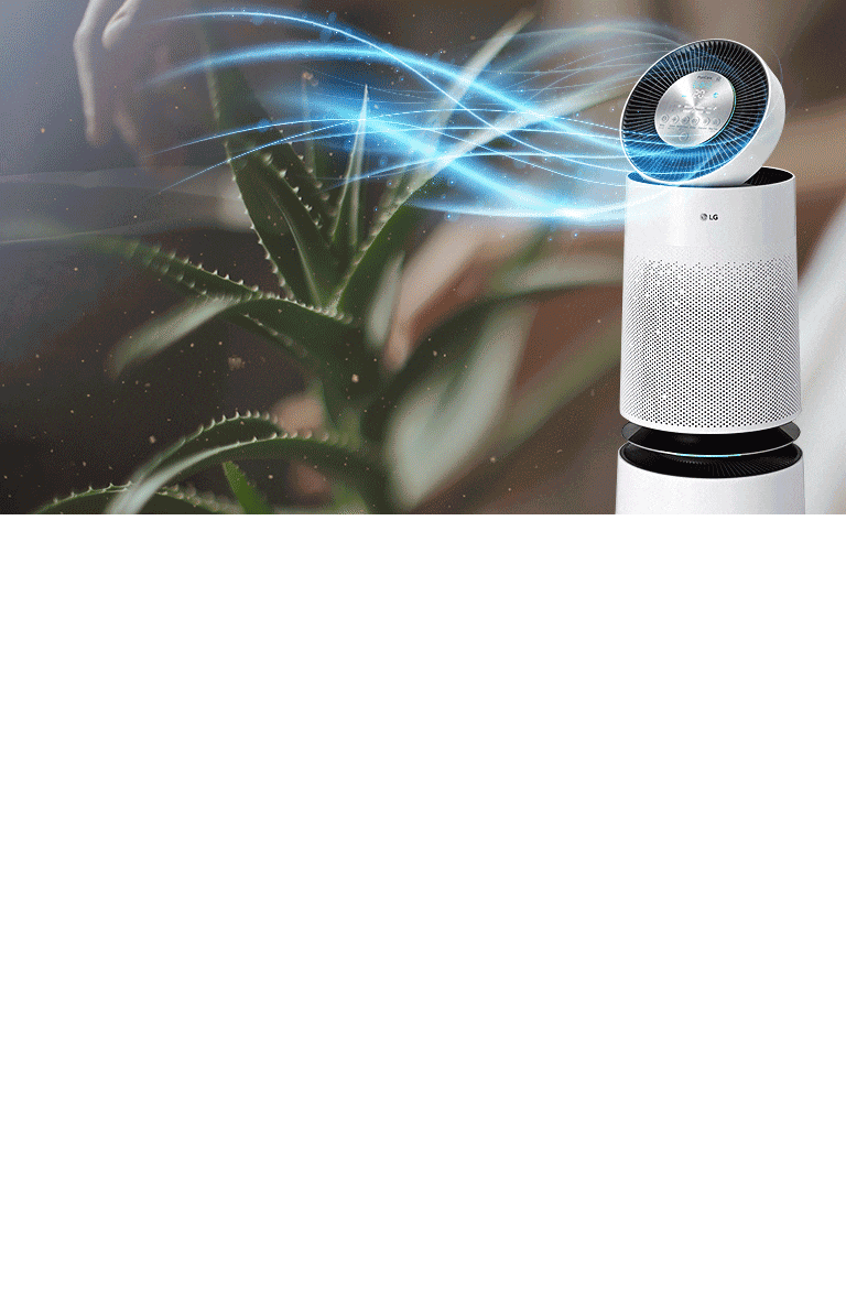 الهواء النقي في جميع أنحاء منزلك