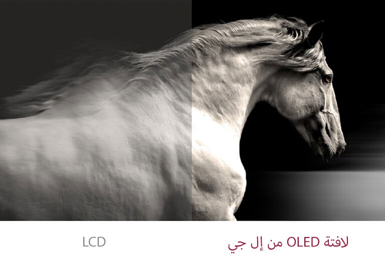 تُظهر لافتات OLED من إل جي تباينًا أفضل بين الأسود والأبيض مقارنة بشاشة LCD العادية.