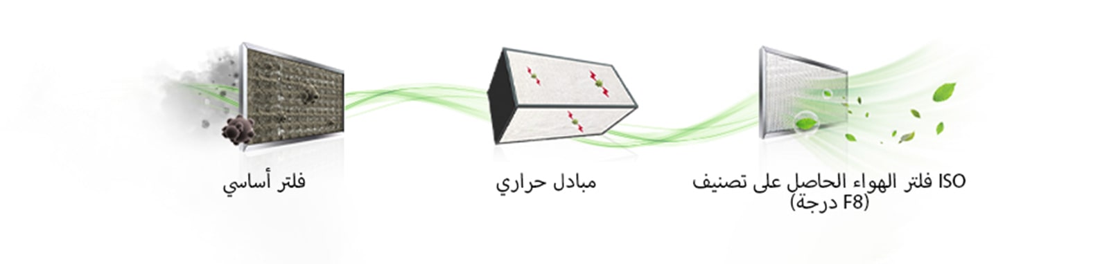 صورة لكل فلتر.