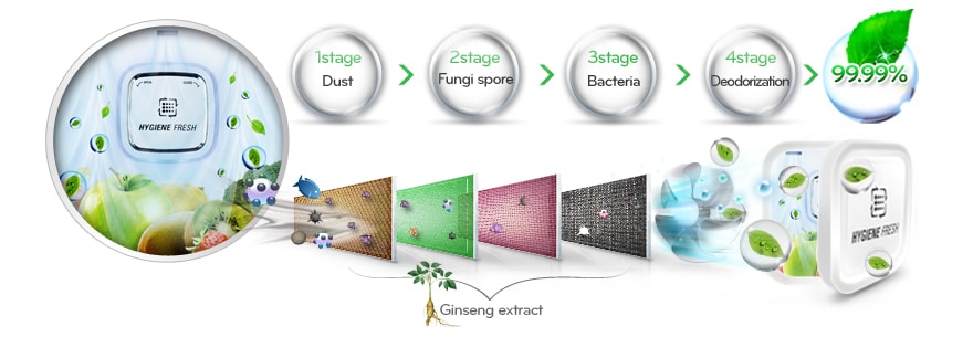 هايجين فريش