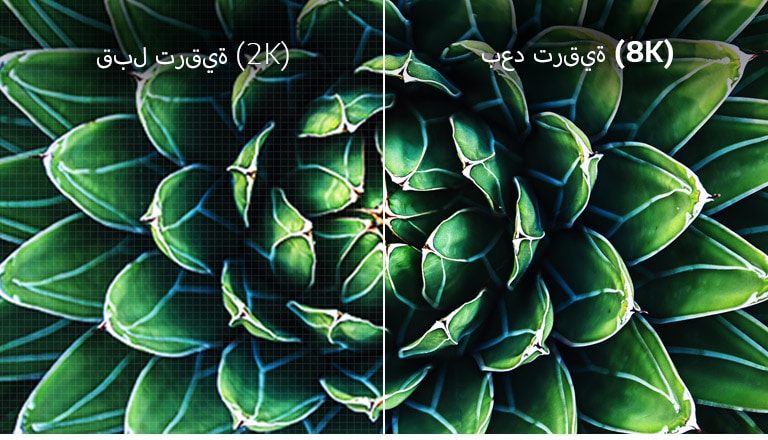 قبل وبعد مقارنة صور رفع المستوى بدقة العرض 8K. الصورة السابقة ضبابية.