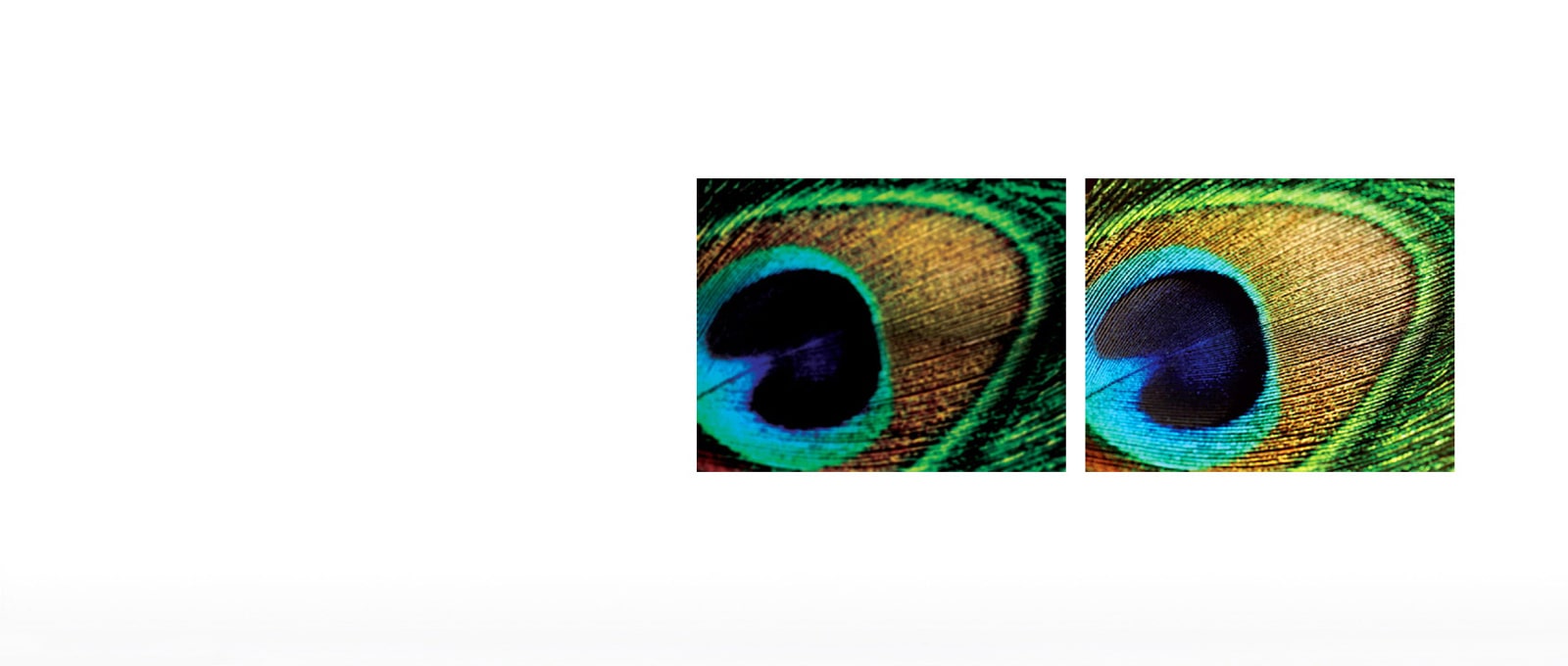 03.feature_02.Uniformity Calibration