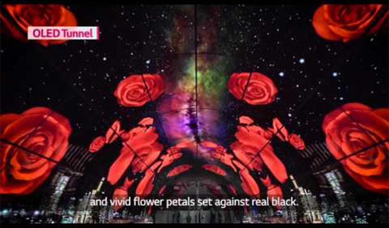 03.feature_05.Video_Background_M03_m