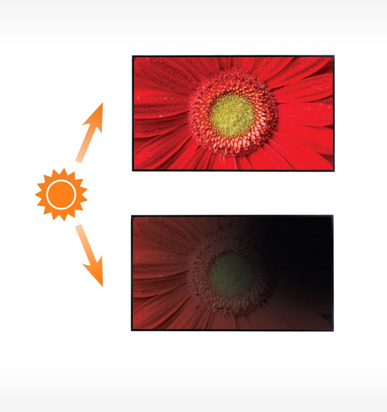 03.feature_01.High Brightness_m