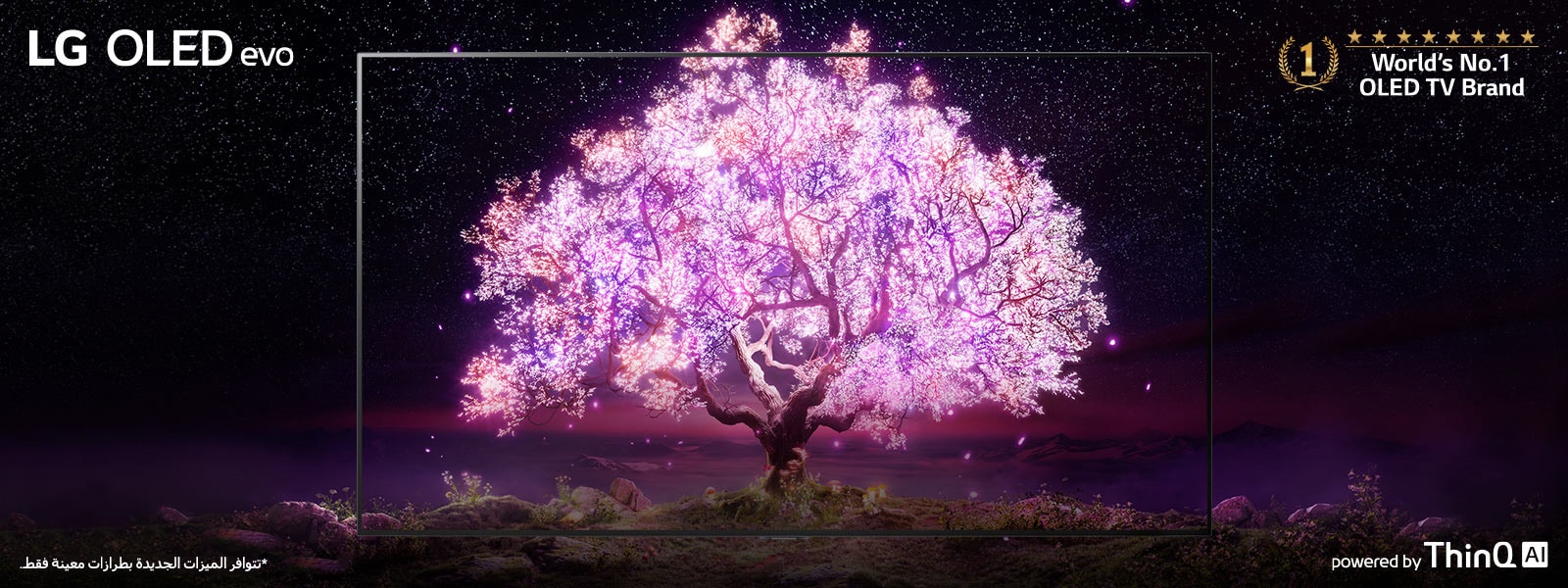 TV-OLED-SELF-LIT-Banner-Desktop