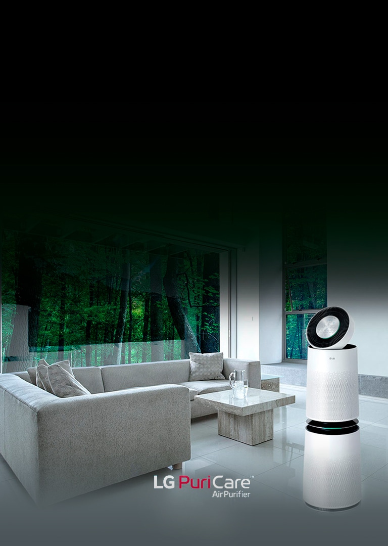 هواء نقي في كافة أرجاء المكان