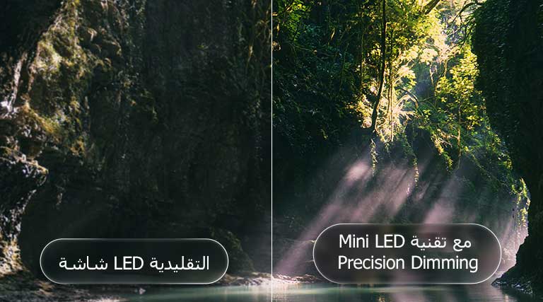 يُبرز تلفزيون LG QNED evo AI QNED85 Mini LED تقنية Mini LED مع Precision Dimming من خلال مشهد غابة منقسم، حيث تُظهر المقارنة مع LED التقليدي لونًا أسود أعمق وتباينًا أكثر دقة بينما تتسلل أشعة الشمس بين الأشجار، لتمنحك وضوحًا أعلى وعمقًا أكبر في الصورة.