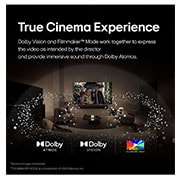 LG تلفزيون LG OLED evo AI G4 4K الذكي مقاس 97 بوصة المدعوم بجهاز التحكم AI Magic remote وتكنولوجيا الصوت Dolby Vision وواجهة webOS24 طراز OLED83G46LA عام (2024), life style Cinema, OLED97G46LA, thumbnail 11