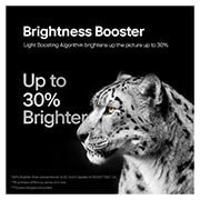 LG تلفزيون LG OLED evo AI C4 4K الذكي مقاس 77 بوصة المدعوم بجهاز التحكم AI Magic remote وتكنولوجيا الصوت Dolby Vision وواجهة webOS24 طراز OLED77C46LA عام (2024), brightness booster lifestyle, OLED77C46LA, thumbnail 8