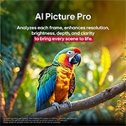 LG تلفزيون LG QNED evo AI QNED86 ‏100 بوصة MiniLED بدقة 4K و120Hz، ريموت سحري، نظام webOS25 إصدار 2025, ببغاء على فرع شجرة بألوان زاهية. يشير العنوان إلى كيفية قيام LG Al Picture Pro بتحسينات بصرية مذهلة لدقة المشهد وسطوعه وعمقه ووضوحه., 100QNED86A6, thumbnail 7