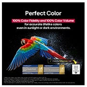 LG تلفزيون LG OLED evo AI C5 مقاس 77 بوصة بدقة 4K 144Hz ومدعوم بجهاز التحكم AI Magic remote وواجهة webOS25 طراز عام 2025 , ببغاء ملون بدقة عالية للغاية على خلفية سوداء. يتم تعليق قطرات الماء في الهواء المحيط بها. تعرض الصورة اللون المثالي حيث أن كل درجة لون مختلفة على جسم الببغاء نابضة بالحياة. تظهر شهادات شعار مختلفة من , OLED77C56LA, thumbnail 8