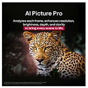 LG تلفزيون LG OLED evo AI C5 مقاس 55 بوصة بدقة 4K 144Hz ومدعوم بجهاز التحكم AI Magic remote وواجهة webOS25 طراز عام 2025 , نمر في الغابة بألوان وتفاصيل نابضة بالحياة. تظهر خلف النمر شبكة وضوء متوهج، مما يشير إلى كيفية قيام LG AI Picture Pro بإجراء تحسينات بصرية مذهلة على دقة المشهد وسطوعه وعمقه ووضوحه., OLED55C56LA, thumbnail 9