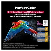 LG تلفزيون LG OLED evo AI G5 مقاس 83 بوصة بدقة 4K 165Hz ومدعوم بجهاز التحكم AI Magic remote وواجهة webOS25 طراز عام 2025 , ببغاء ملون بدقة عالية للغاية على خلفية سوداء. يتم تعليق قطرات الماء في الهواء المحيط بها. تعرض الصورة اللون المثالي حيث أن كل درجة لون مختلفة على جسم الببغاء نابضة بالحياة. كما أن الخلفية الداكنة مع ر, OLED83G56LA, thumbnail 8