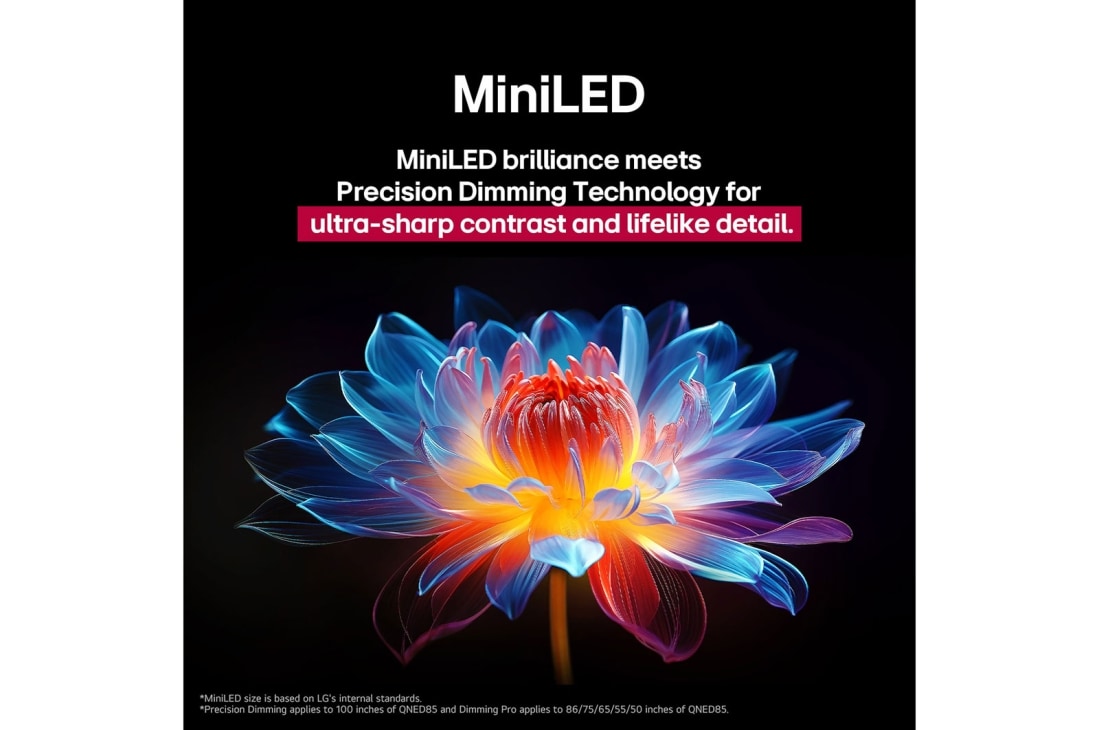 LG تلفزيون LG QNED evo AI QNED86 ‏65 بوصة MiniLED بدقة 4K و120Hz، ريموت سحري، نظام webOS25 إصدار 2025, ببغاء على فرع شجرة بألوان زاهية. يشير العنوان إلى كيفية قيام LG Al Picture Pro بتحسينات بصرية مذهلة لدقة المشهد وسطوعه وعمقه ووضوحه., 65QNED86A6A, thumbnail 8