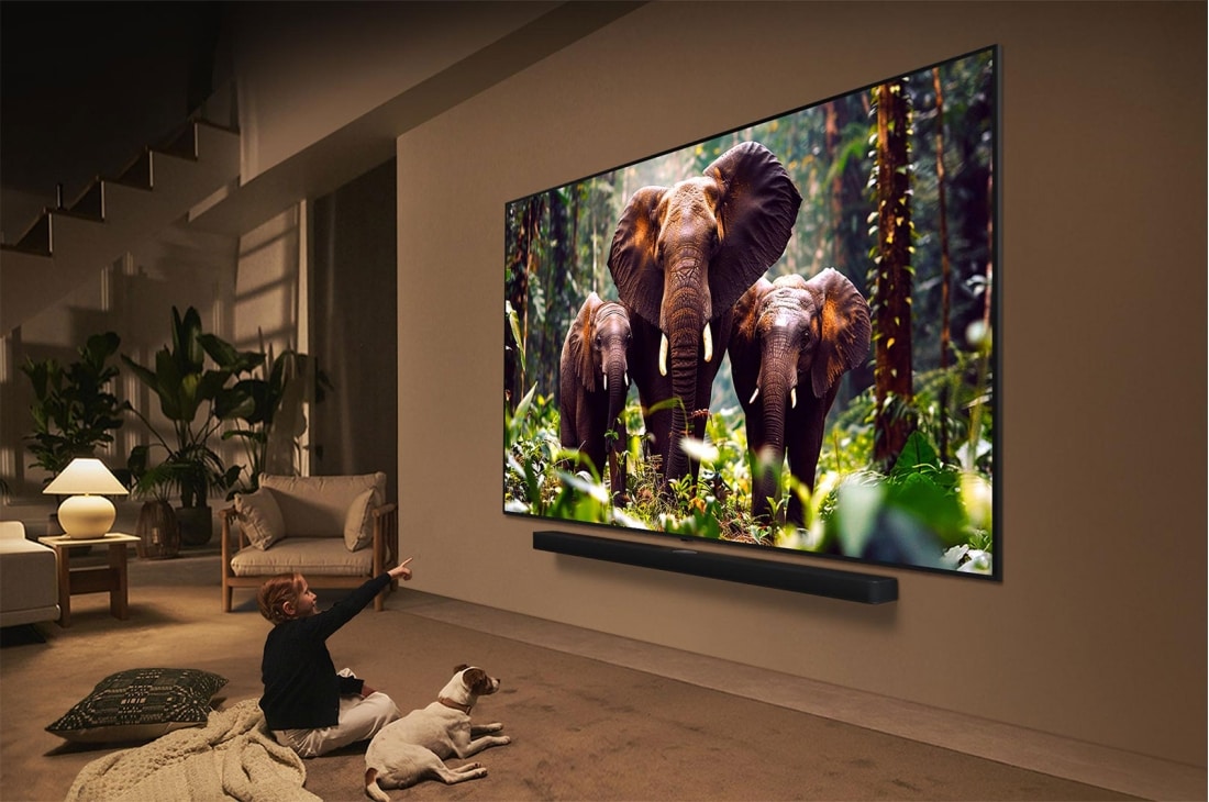 LG تلفزيون LG QNED evo AI QNED86 ‏65 بوصة MiniLED بدقة 4K و120Hz، ريموت سحري، نظام webOS25 إصدار 2025, فتاة وكلب يجلسان أمام تلفزيون LG QNED TV مثبت على جدار يصور ثلاثة أفيال تسير للخارج فوق مكبر الصوت LG Soundbar. يتحدث العنوان عن مدى إثارة كل حركة على شاشة ضخمة., 65QNED86A6A, thumbnail 14