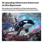 LG تلفزيون LG QNED AI Mini LED QNED70 4K Smart TV 2026 الذكي مقاس 85 بوصة, يعرض LG QNED AI QNED70 Mini LED المزود بتقنية 4K Super Upscaling وDynamic Tone Mapping مشهدًا تحت الماء لحوت الأوركا يسبح، حيث يتعرف الذكاء الاصطناعي على كل إطار ويحسن دقته إلى 4K., 85QNED70B6T, thumbnail 8