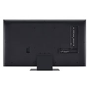 LG تلفزيون LG QNED81 الذكي مقاس 55 بوصة بدقة 4K لعام 2023, منظر خلفي, 55QNED816RA, thumbnail 5