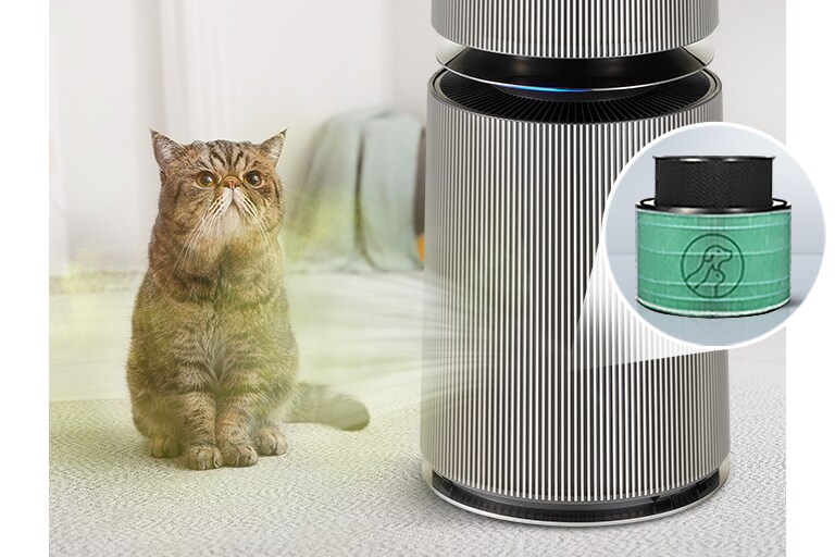 It makes the house pleasant by sucking up the smell from the cat