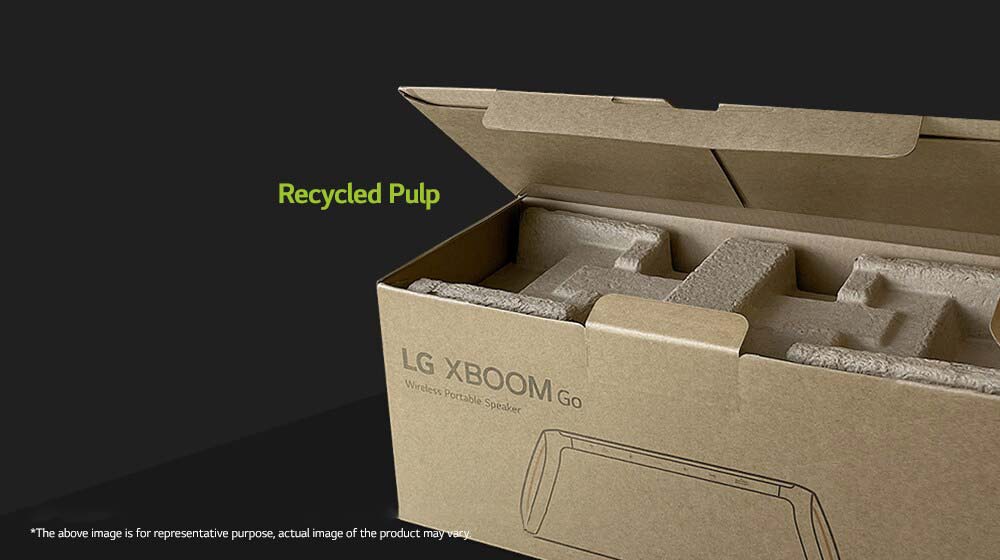 Eco Friendly Pulp Packaging