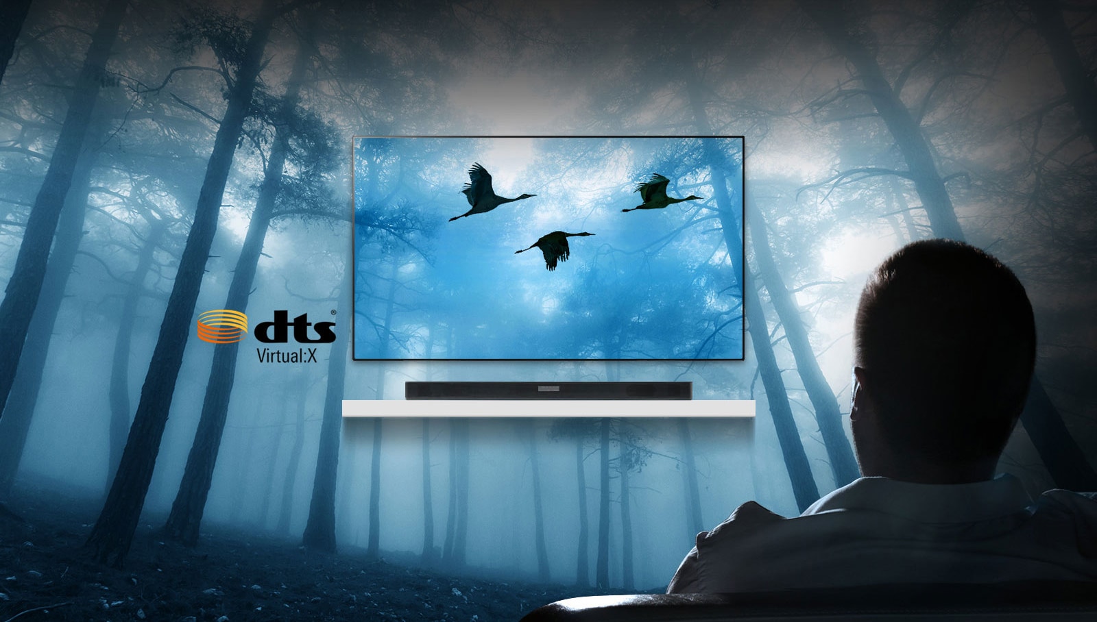 Promises a Full, Three-dimensional Surround Sound1