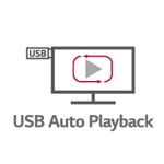 USB Auto Playback1