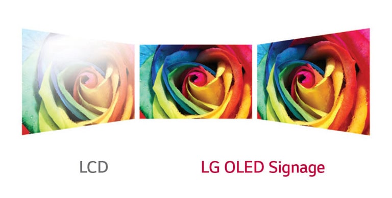 Perfect Viewing Screen2