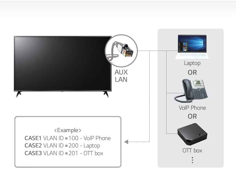 LAN out with VLAN (Virtual LAN) ID<br>2