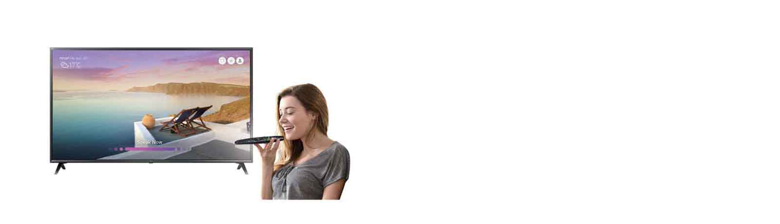 Voice Recognition<br>1