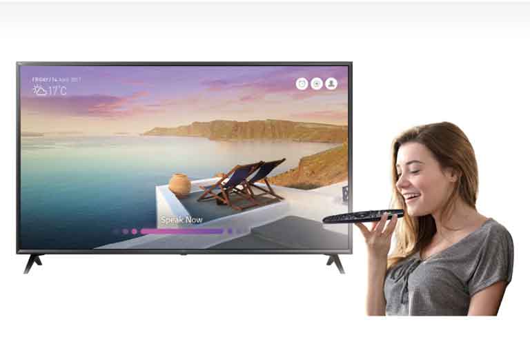 Voice Recognition<br>2