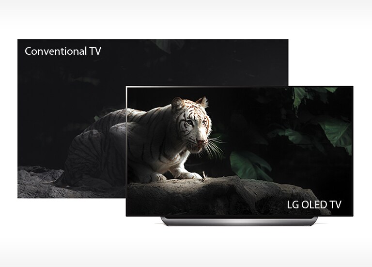 Perfect Black. Intense Color2