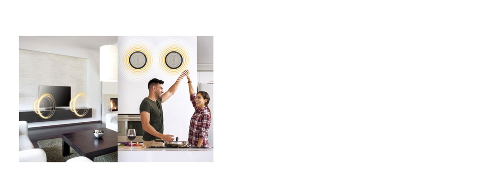 External Speaker Out<br>1