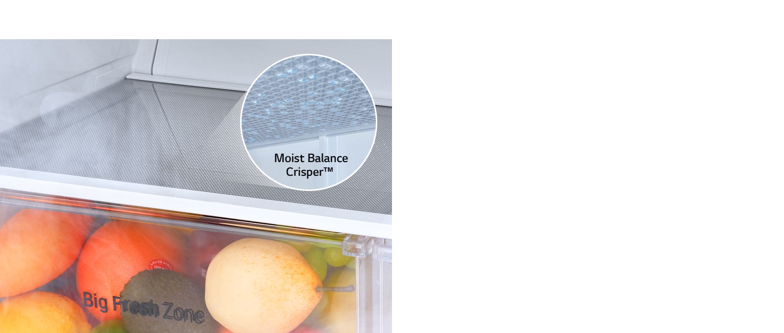 Vegetable & Fruits Fresher for Longer