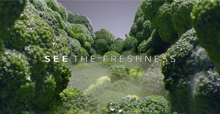 SEE THE FRESHNESS