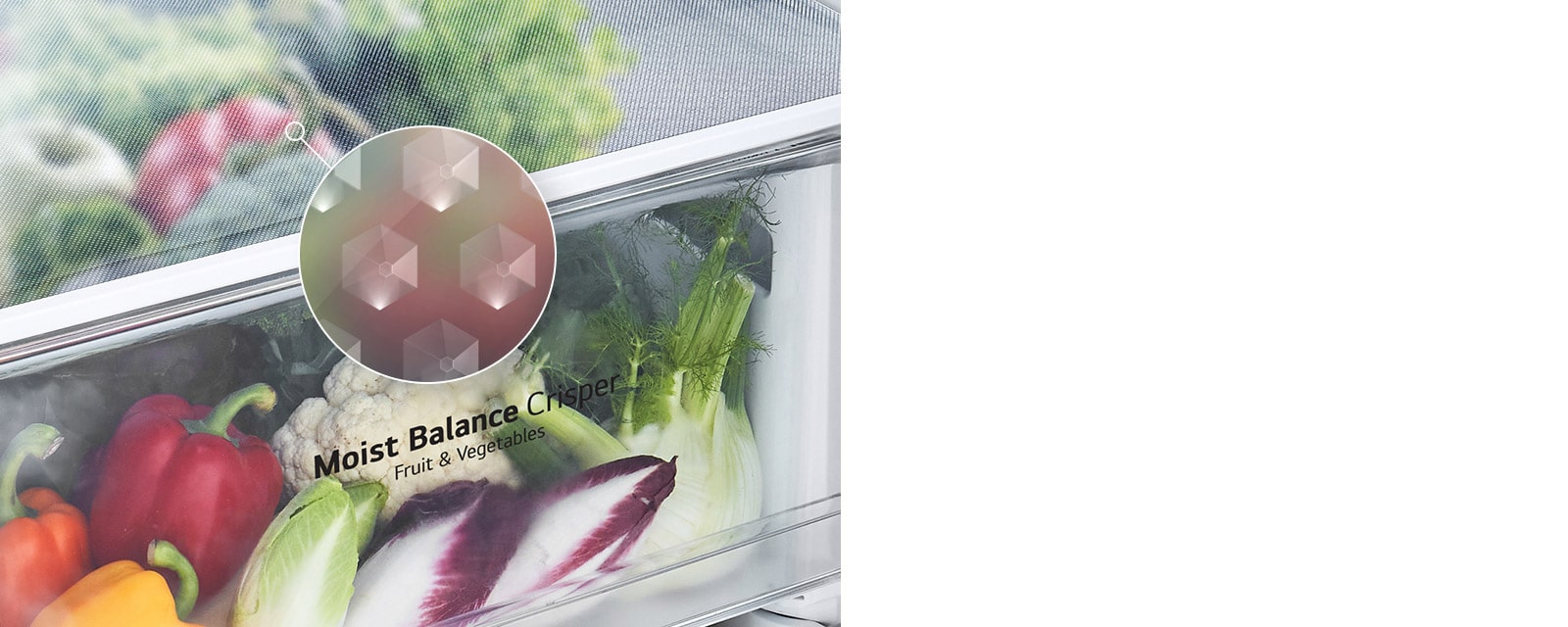 An image of the Moist Balance Crisper drawer is shown filled with fresh produce and a magnified inlay.