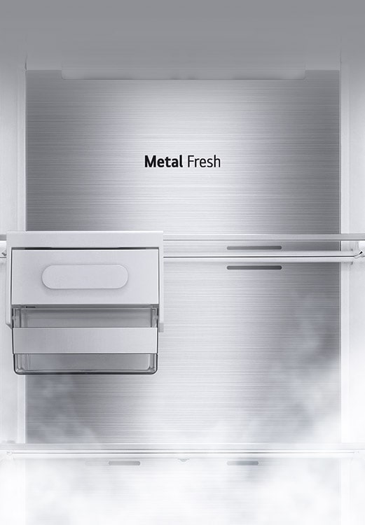 The interior of the fridge is shown empty with the ice rack and shelf in place and the back which is labeled "Metal Fresh".