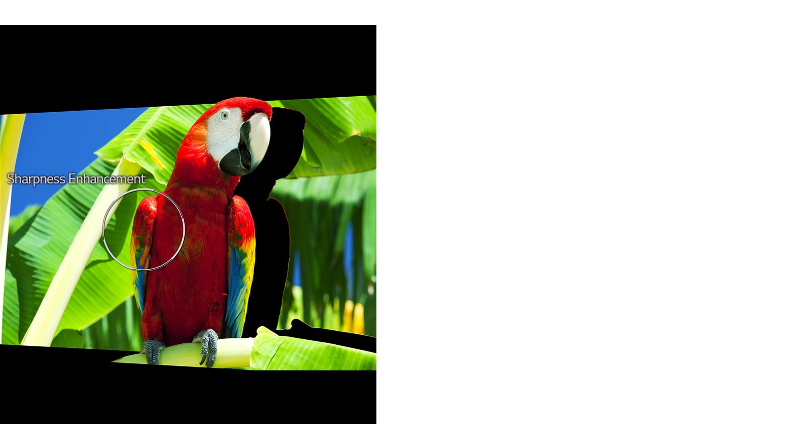 04_Alpha9_Sharpness_Enhancer_desktop